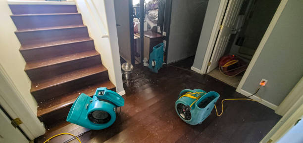 Best Water damage cleanup near me  in Fergus Falls, MN