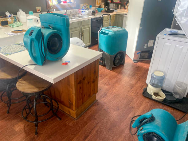 Best Commercial water damage restoration  in Fergus Falls, MN