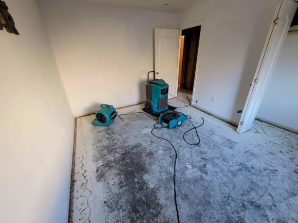 Best Water damage restoration near me  in Fergus Falls, MN