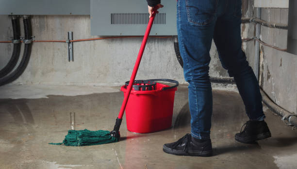 Reliable MN Water damage restoration Solutions
