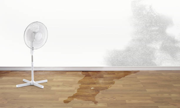 Best 24-hour water damage restoration  in Fergus Falls, MN