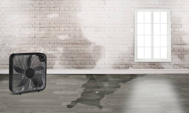 Best Emergency water damage restoration  in Fergus Falls, MN