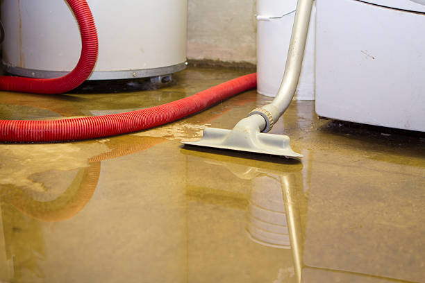 Best Water damage contractors near me  in Fergus Falls, MN