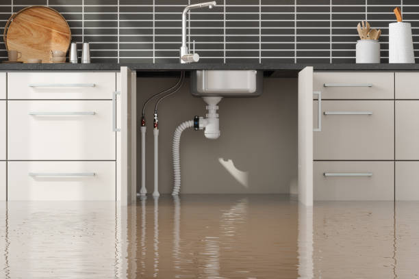 Best 24/7 water damage repair  in Fergus Falls, MN