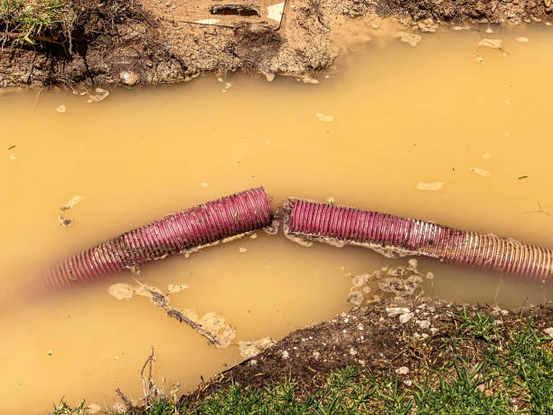 Local water damage restoration in MN