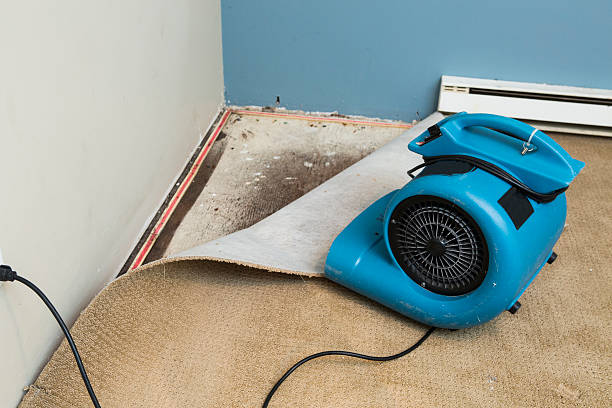 Best Residential water damage restoration  in Fergus Falls, MN